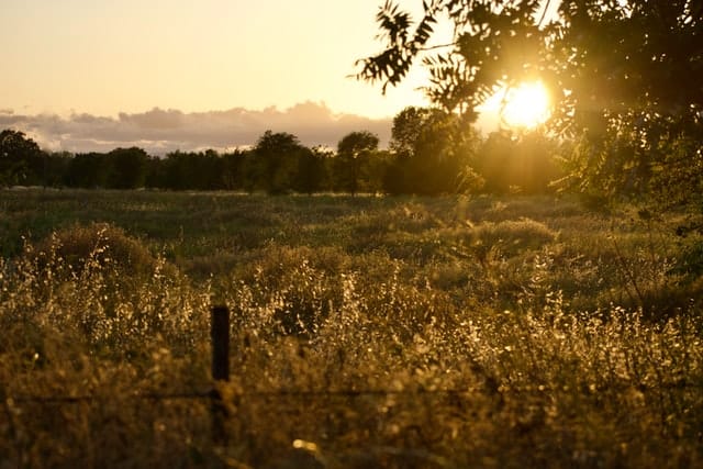 Levé de soleil sur une prairie