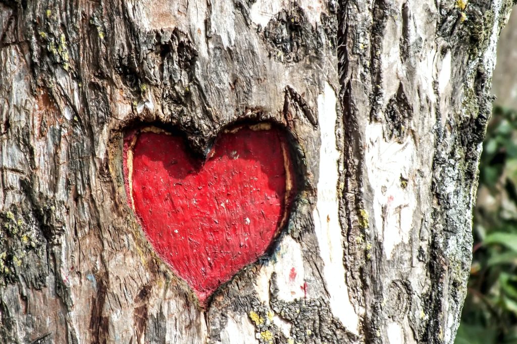 Saint-Valentin Coeur