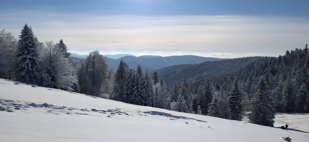 Saisir le bonheur du moment, dans une photo, un récit.