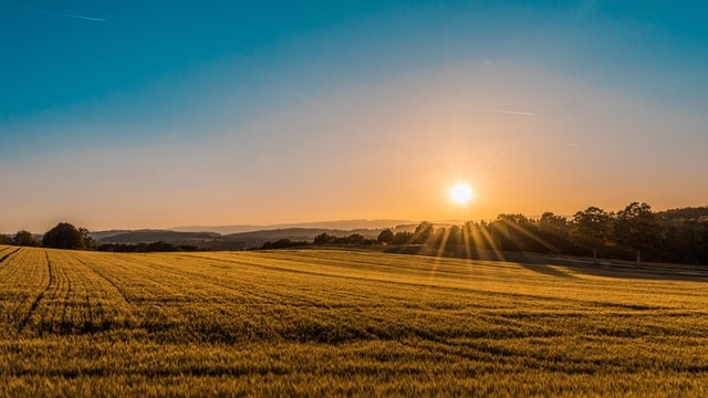 J'veux du soleil! Lever de soleil sur la campagne.
